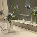 Steinfisch Apartment *