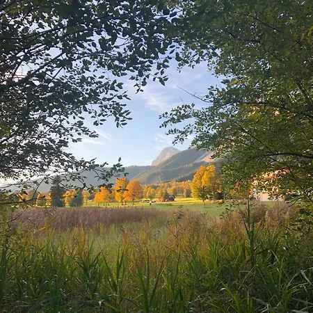 Steinfisch * Ramsau am Dachstein