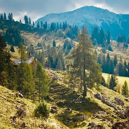 Steinfisch Apartman Ramsau am Dachstein