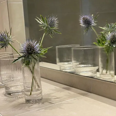 Steinfisch Διαμέρισμα *