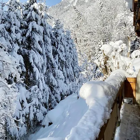 Steinfisch Διαμέρισμα *