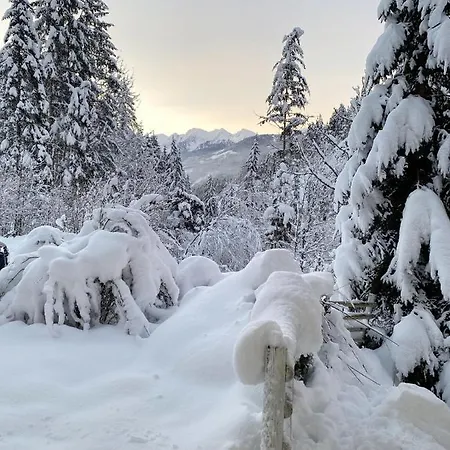 Διαμέρισμα Steinfisch Ramsau am Dachstein