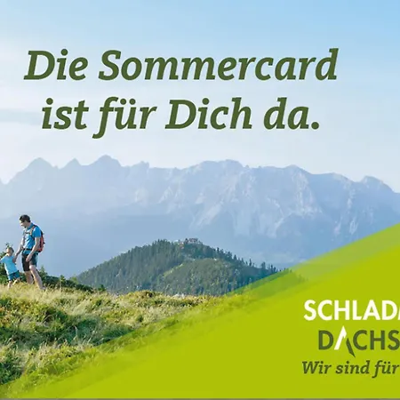 Steinfisch *