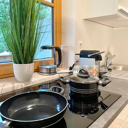 Διαμέρισμα Steinfisch Ramsau am Dachstein