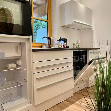 Steinfisch * Ramsau am Dachstein