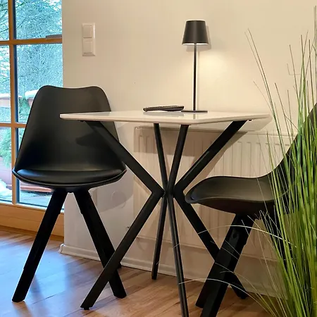 Steinfisch Appartement Ramsau am Dachstein