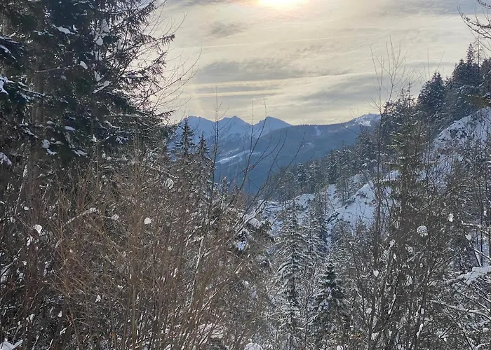 Apartment Steinfisch *