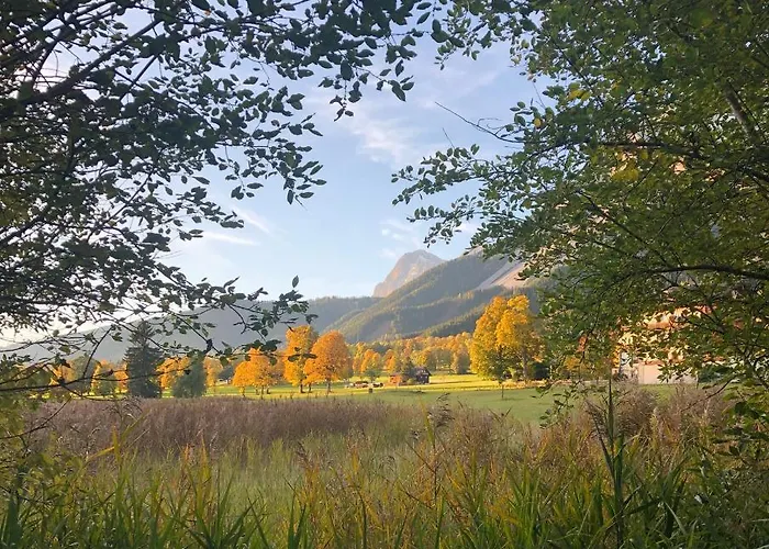 Steinfisch * Ramsau am Dachstein