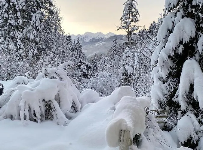 Lägenhet Steinfisch Ramsau am Dachstein